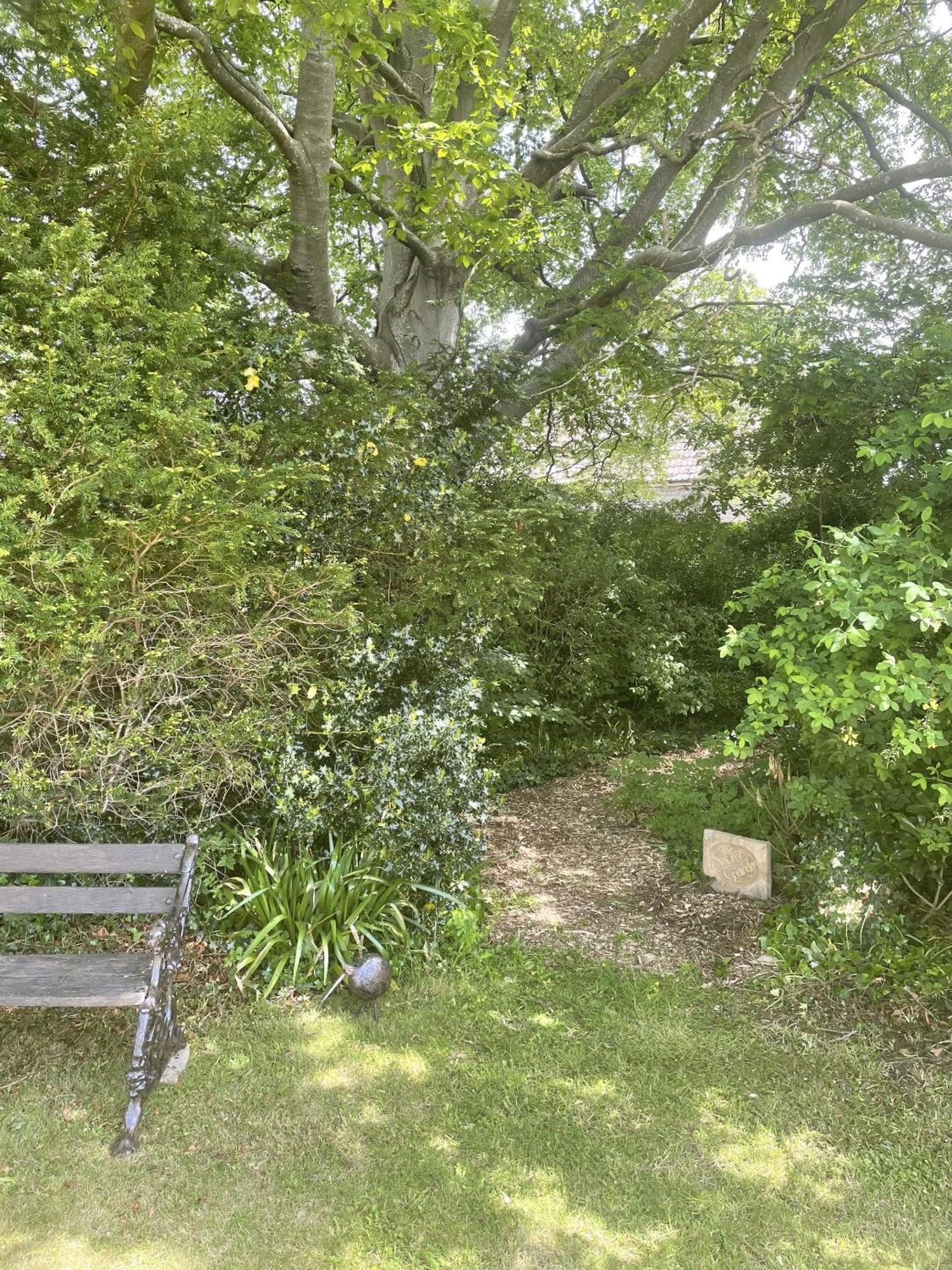The Mount Somerton Retreat - Nr Bruton, Glastonbury, The Spectacular Wells Cathedral, Millfield School, Leonardo Helicopters, Yeovilton Eksteriør billede