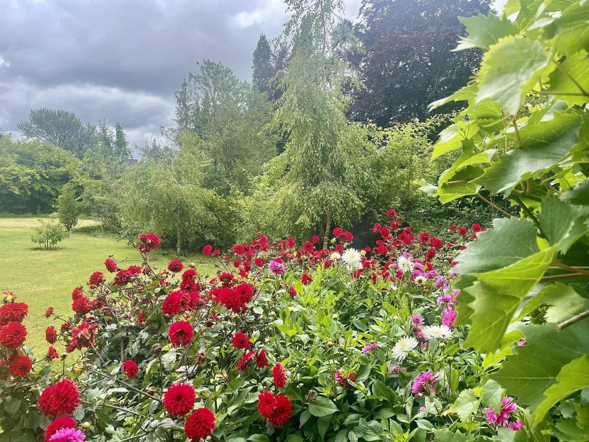 The Mount Somerton Retreat - Nr Bruton, Glastonbury, The Spectacular Wells Cathedral, Millfield School, Leonardo Helicopters, Yeovilton Eksteriør billede